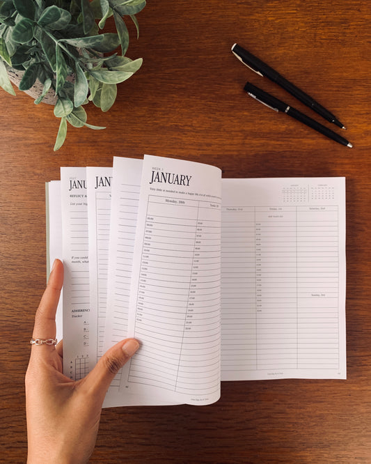 Professional 2027 Weekly Planner | 6-Month