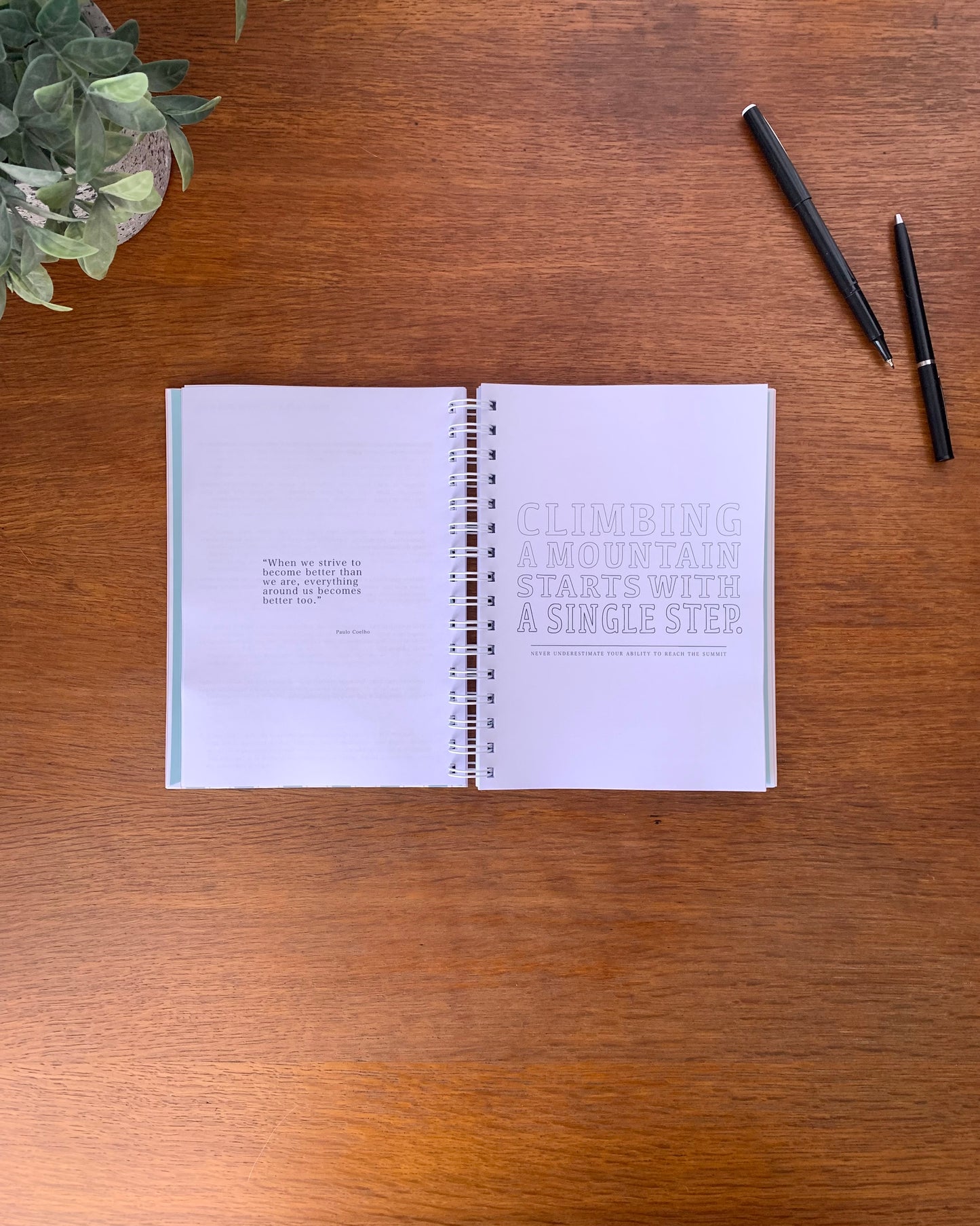 Undated Planner: 6 Months