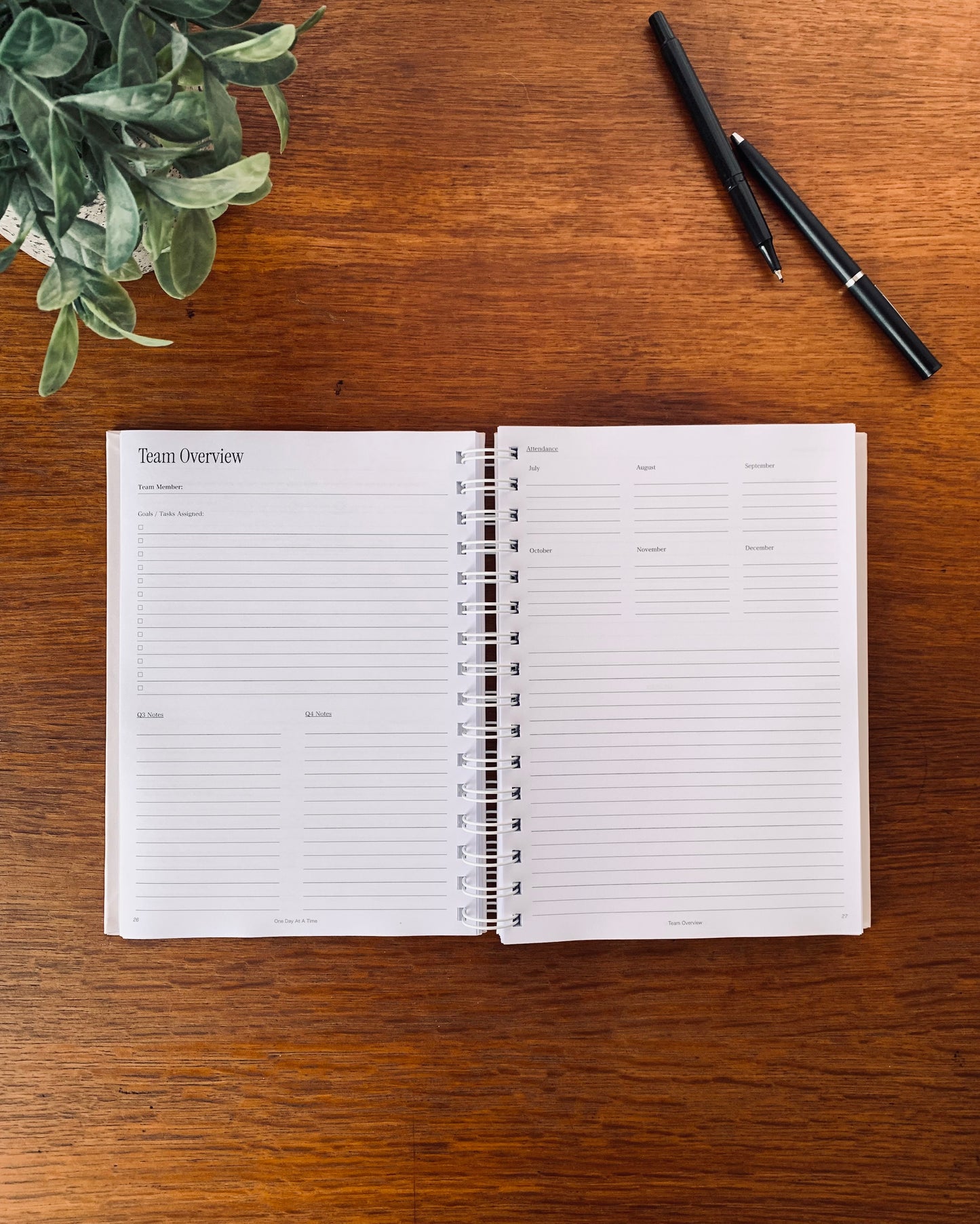 Professional Planner | Jul 2026 - Dec 2026