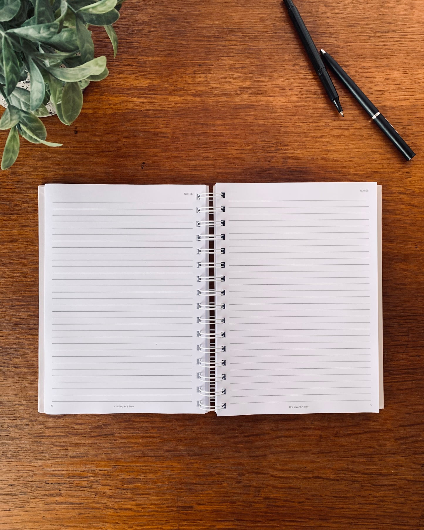 Professional Planner | Jul 2026 - Dec 2026