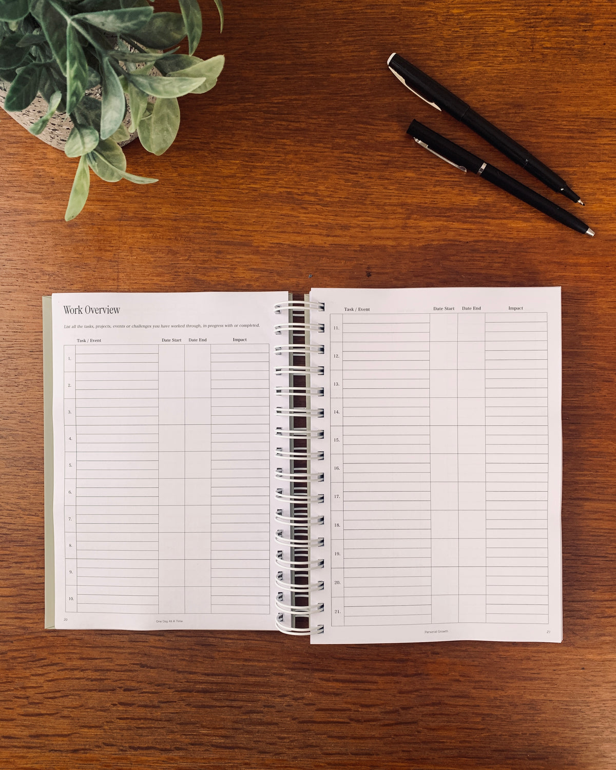 Professional 2027 Weekly Planner